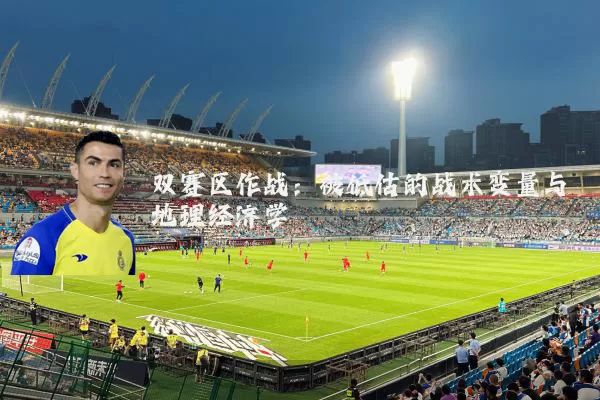 双赛区作战:被低估的战术变量与地理经济学